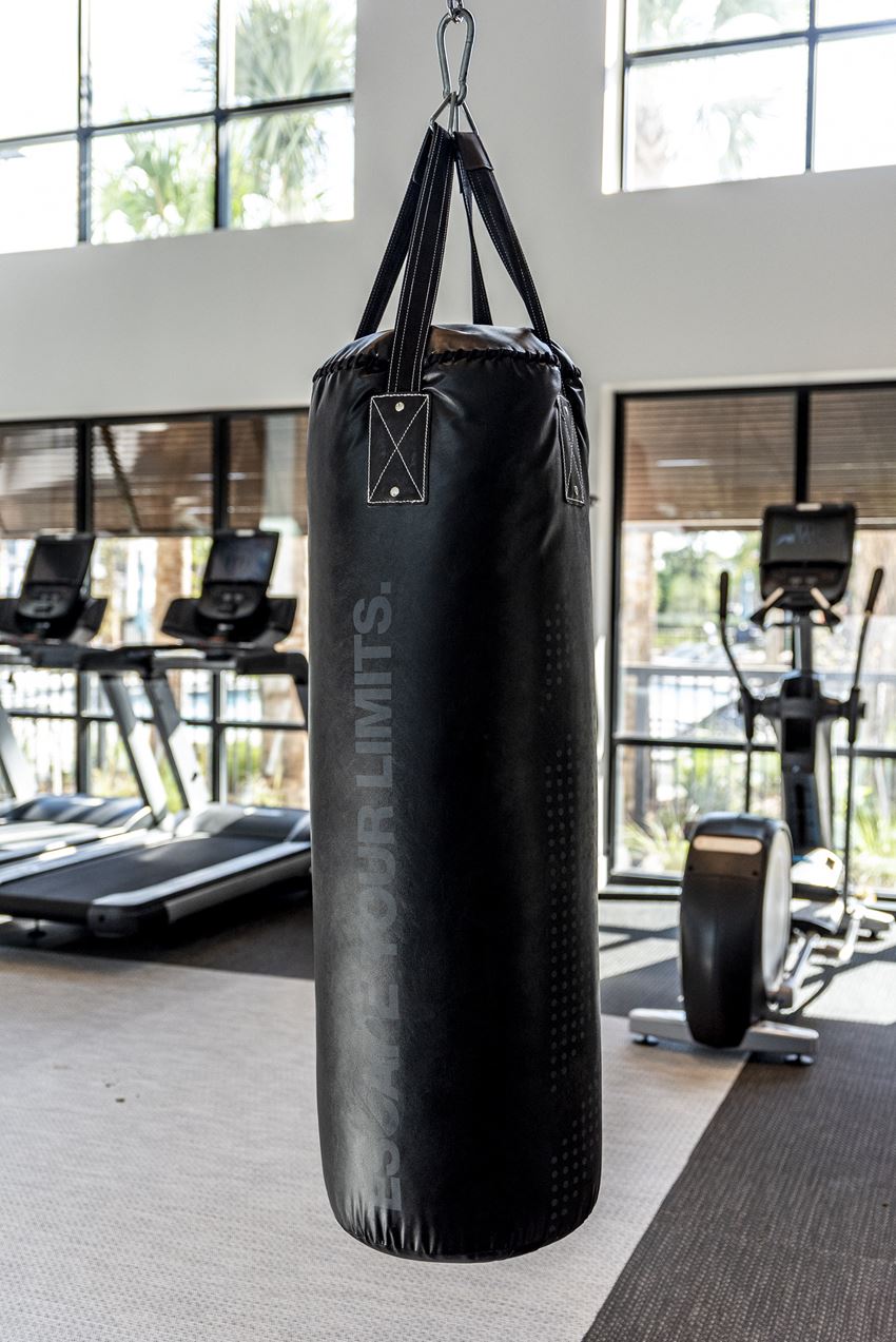 Alta Longwood Apartments, 881 W Warren Ave 111, Longwood, FL RentCafe